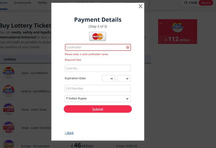 Input payment information